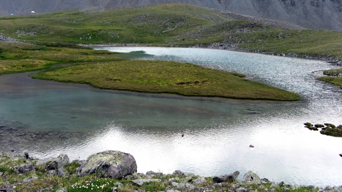 Воспоминания о походе-экспедиции по Катунской Подкове Алтая с 18.07 по 07.08.2010. (Альпинизм, алтай, белуха, эдельвейс)