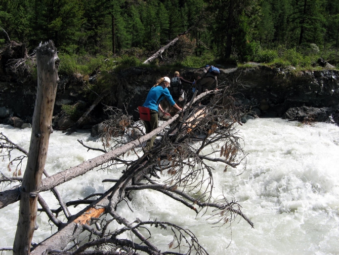 Воспоминания о походе-экспедиции по Катунской Подкове Алтая с 18.07 по 07.08.2010. (Альпинизм, алтай, белуха, эдельвейс)