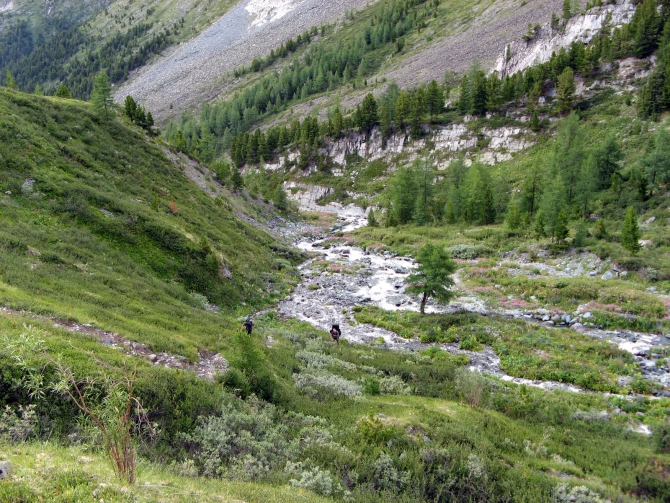 Воспоминания о походе-экспедиции по Катунской Подкове Алтая с 18.07 по 07.08.2010. (Альпинизм, алтай, белуха, эдельвейс)
