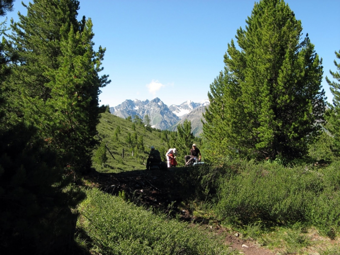 Воспоминания о походе-экспедиции по Катунской Подкове Алтая с 18.07 по 07.08.2010. (Альпинизм, алтай, белуха, эдельвейс)