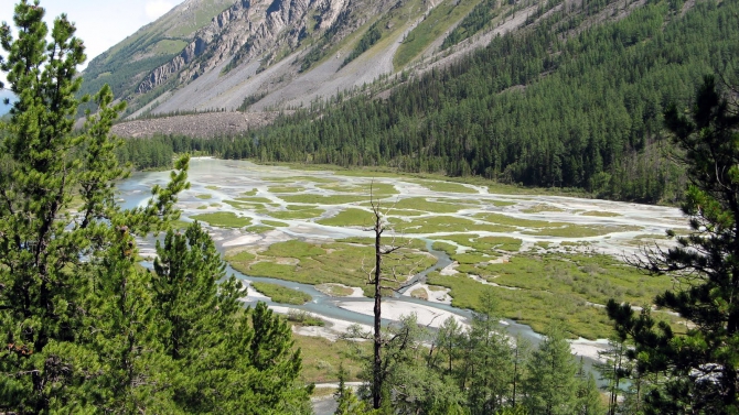 Воспоминания о походе-экспедиции по Катунской Подкове Алтая с 18.07 по 07.08.2010. (Альпинизм, алтай, белуха, эдельвейс)