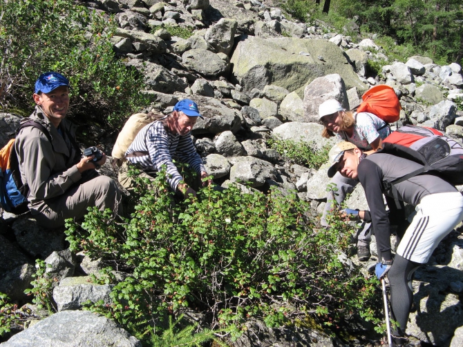 Воспоминания о походе-экспедиции по Катунской Подкове Алтая с 18.07 по 07.08.2010. (Альпинизм, алтай, белуха, эдельвейс)