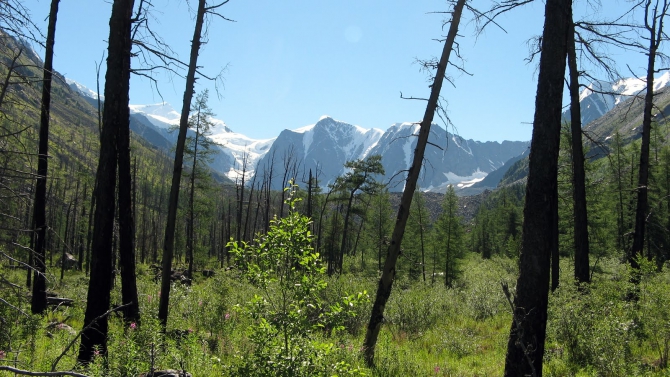 Воспоминания о походе-экспедиции по Катунской Подкове Алтая с 18.07 по 07.08.2010. (Альпинизм, алтай, белуха, эдельвейс)