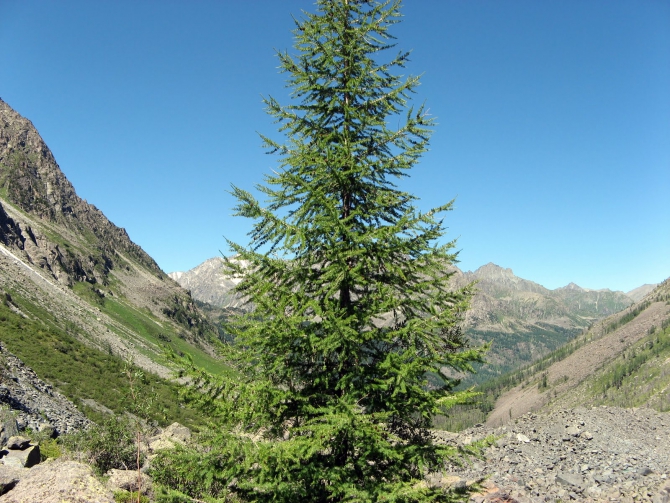Воспоминания о походе-экспедиции по Катунской Подкове Алтая с 18.07 по 07.08.2010. (Альпинизм, алтай, белуха, эдельвейс)