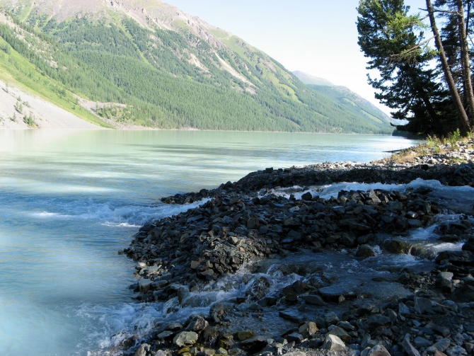 Воспоминания о походе-экспедиции по Катунской Подкове Алтая с 18.07 по 07.08.2010. (Альпинизм, алтай, белуха, эдельвейс)