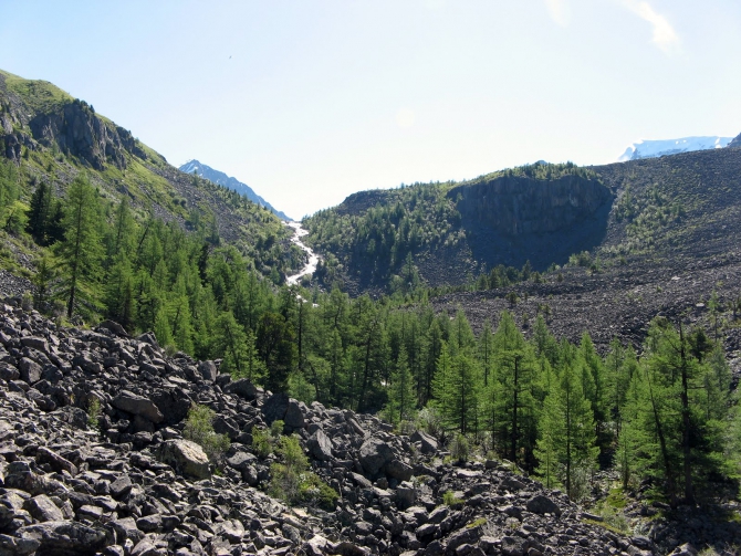 Воспоминания о походе-экспедиции по Катунской Подкове Алтая с 18.07 по 07.08.2010. (Альпинизм, алтай, белуха, эдельвейс)