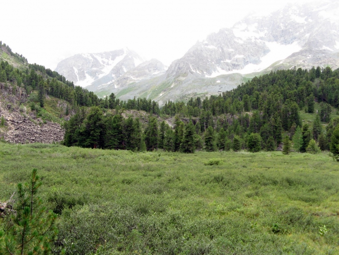 Воспоминания о походе-экспедиции по Катунской Подкове Алтая с 18.07 по 07.08.2010. (Альпинизм, алтай, белуха, эдельвейс)