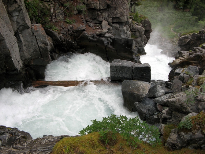 Воспоминания о походе-экспедиции по Катунской Подкове Алтая с 18.07 по 07.08.2010. (Альпинизм, алтай, белуха, эдельвейс)