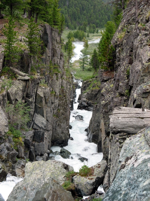 Воспоминания о походе-экспедиции по Катунской Подкове Алтая с 18.07 по 07.08.2010. (Альпинизм, алтай, белуха, эдельвейс)