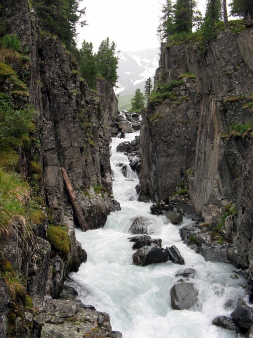 Воспоминания о походе-экспедиции по Катунской Подкове Алтая с 18.07 по 07.08.2010. (Альпинизм, алтай, белуха, эдельвейс)