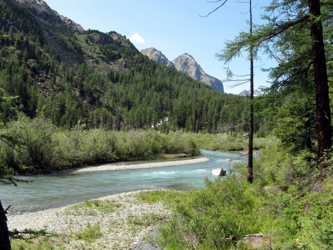 Воспоминания о походе-экспедиции по Катунской Подкове Алтая с 18.07 по 07.08.2010. (Альпинизм, алтай, белуха, эдельвейс)