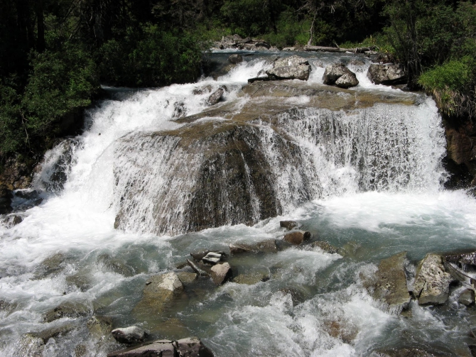Воспоминания о походе-экспедиции по Катунской Подкове Алтая с 18.07 по 07.08.2010. (Альпинизм, алтай, белуха, эдельвейс)