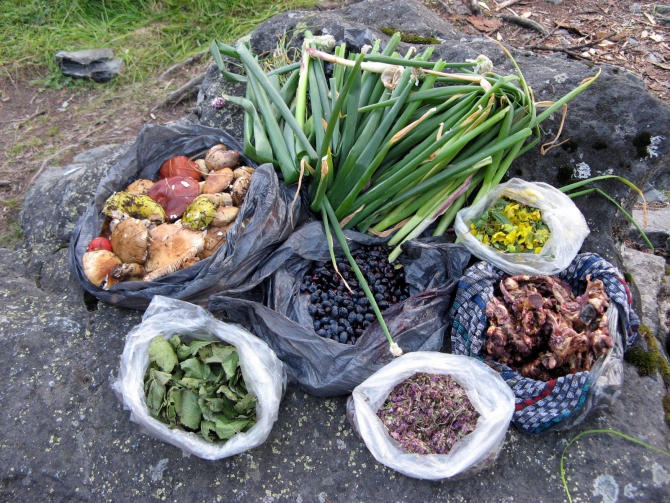 Воспоминания о походе-экспедиции по Катунской Подкове Алтая с 18.07 по 07.08.2010. (Альпинизм, алтай, белуха, эдельвейс)