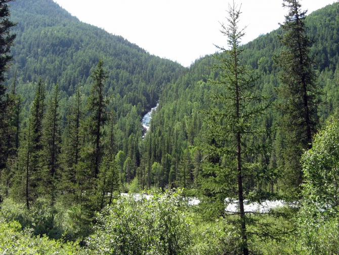 Воспоминания о походе-экспедиции по Катунской Подкове Алтая с 18.07 по 07.08.2010. (Альпинизм, алтай, белуха, эдельвейс)