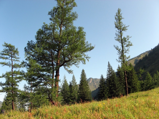 Воспоминания о походе-экспедиции по Катунской Подкове Алтая с 18.07 по 07.08.2010. (Альпинизм, алтай, белуха, эдельвейс)