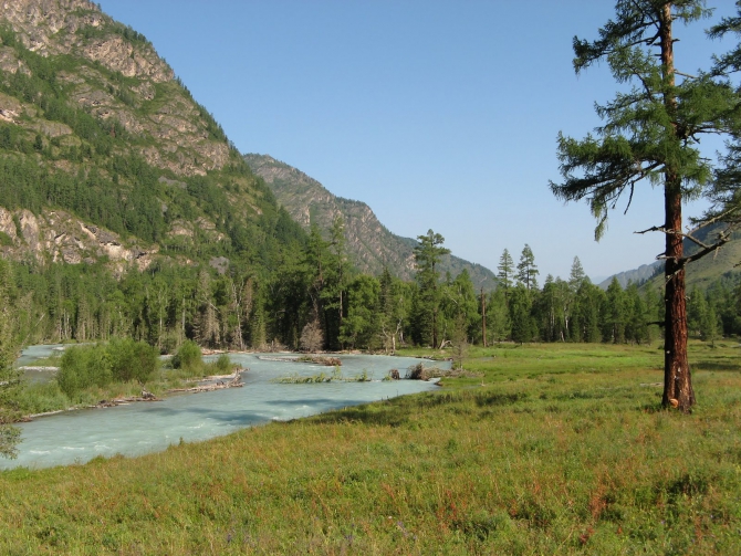 Воспоминания о походе-экспедиции по Катунской Подкове Алтая с 18.07 по 07.08.2010. (Альпинизм, алтай, белуха, эдельвейс)
