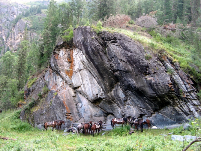 Воспоминания о походе-экспедиции по Катунской Подкове Алтая с 18.07 по 07.08.2010. (Альпинизм, алтай, белуха, эдельвейс)