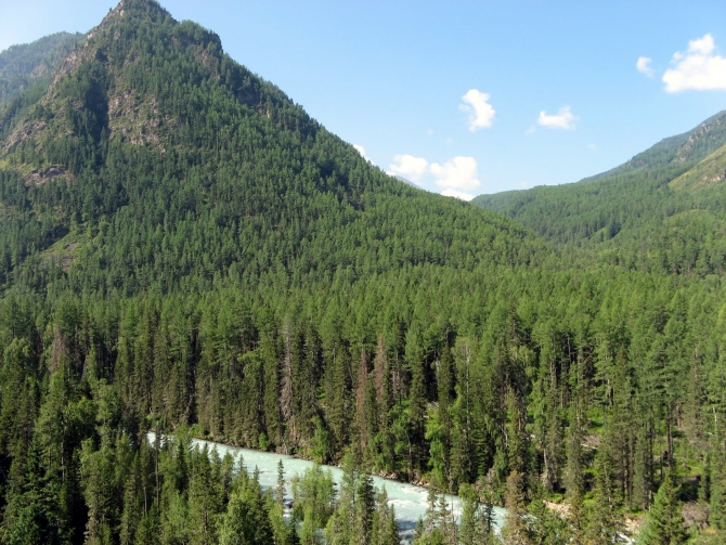 Воспоминания о походе-экспедиции по Катунской Подкове Алтая с 18.07 по 07.08.2010. (Альпинизм, алтай, белуха, эдельвейс)