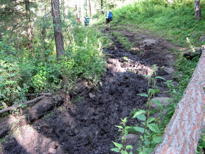 Воспоминания о походе-экспедиции по Катунской Подкове Алтая с 18.07 по 07.08.2010. (Альпинизм, алтай, белуха, эдельвейс)