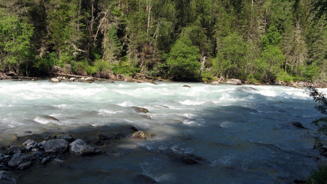 Воспоминания о походе-экспедиции по Катунской Подкове Алтая с 18.07 по 07.08.2010. (Альпинизм, алтай, белуха, эдельвейс)