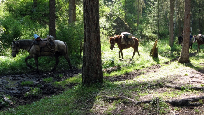 Воспоминания о походе-экспедиции по Катунской Подкове Алтая с 18.07 по 07.08.2010. (Альпинизм, алтай, белуха, эдельвейс)