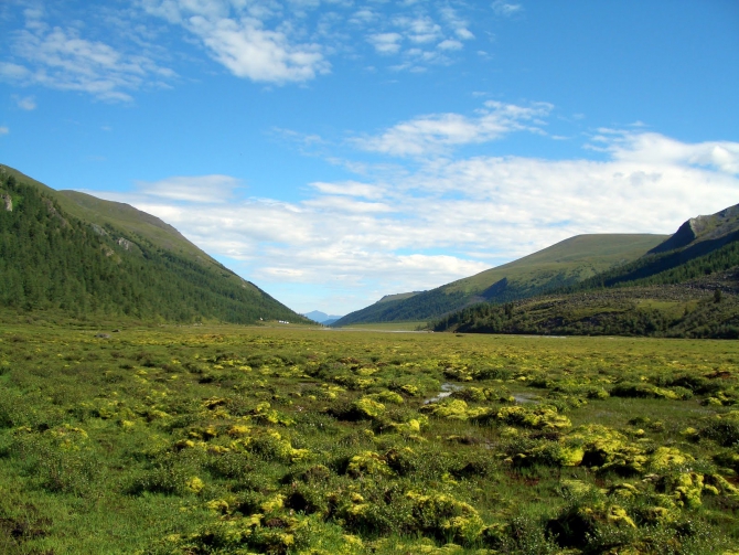 Воспоминания о походе-экспедиции по Катунской Подкове Алтая с 18.07 по 07.08.2010. (Альпинизм, алтай, белуха, эдельвейс)