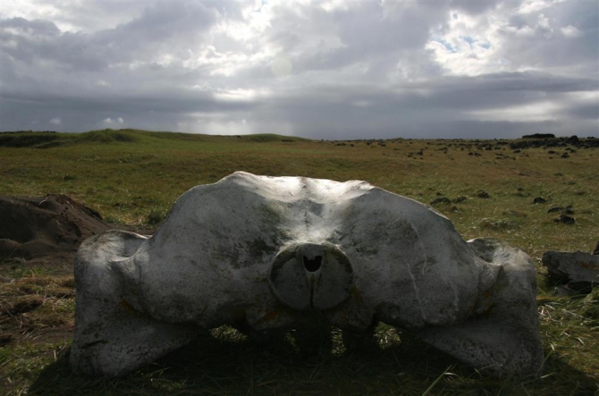 Гренландия для бедных, или причудливые лики исландского альпинизма.(8, исландия)