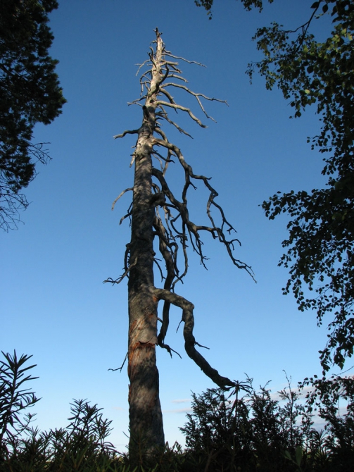 ДЛЯ ГЛАЗА, СЕРДЦА И ДУШИ... (Вода, белое море)