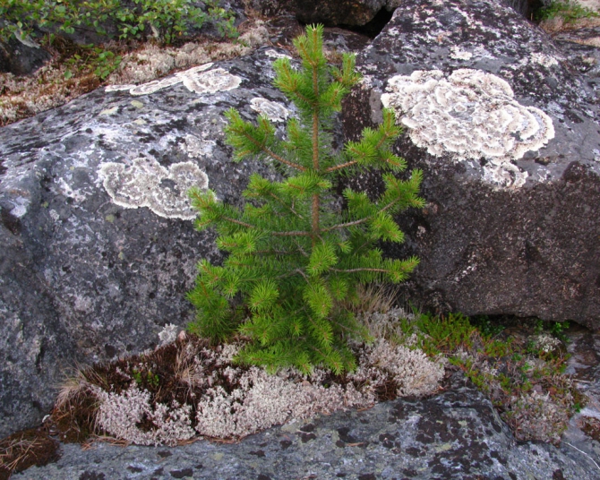 ДЛЯ ГЛАЗА, СЕРДЦА И ДУШИ... (Вода, белое море)