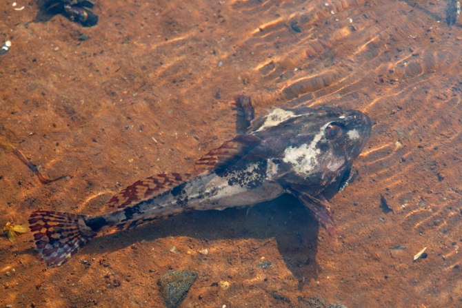 ДЛЯ ГЛАЗА, СЕРДЦА И ДУШИ... (Вода, белое море)