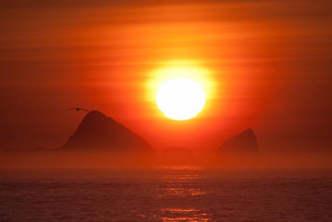 Номинанты премии Risk.ru-2010: Pacific Rising Expedition (хрустальный пик, outdoor-проекты, восхождения, события)