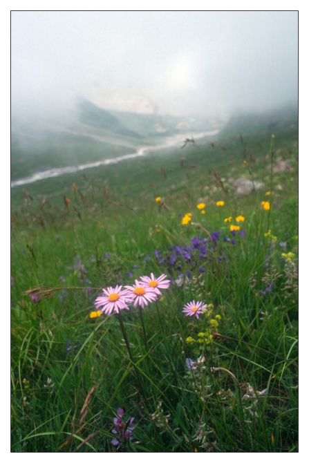 Заснеженная Шхара 2010-го или как я провел этим летом (Альпинизм, альпинизм, 5б, томашек)