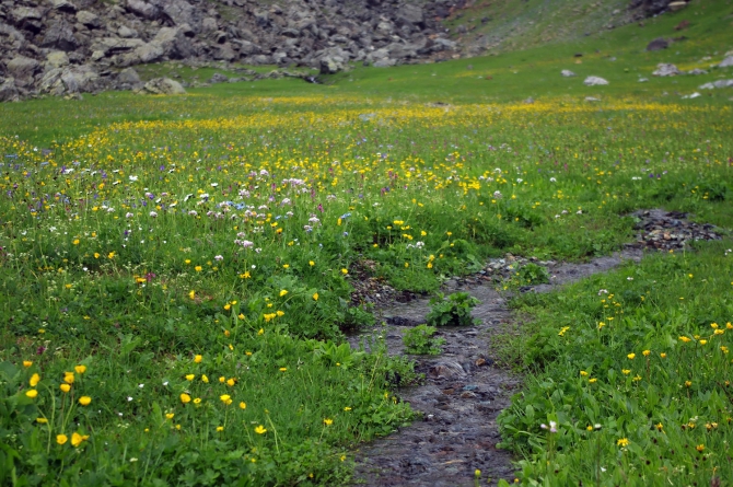 АРХЫЗ-2010. Фотоальбом (Горный туризм, горы, кавказ, поход, туризм)