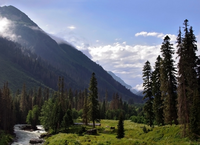 АРХЫЗ-2010. Фотоальбом (Горный туризм, горы, кавказ, поход, туризм)