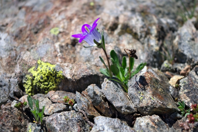 АРХЫЗ-2010. Фотоальбом (Горный туризм, горы, кавказ, поход, туризм)