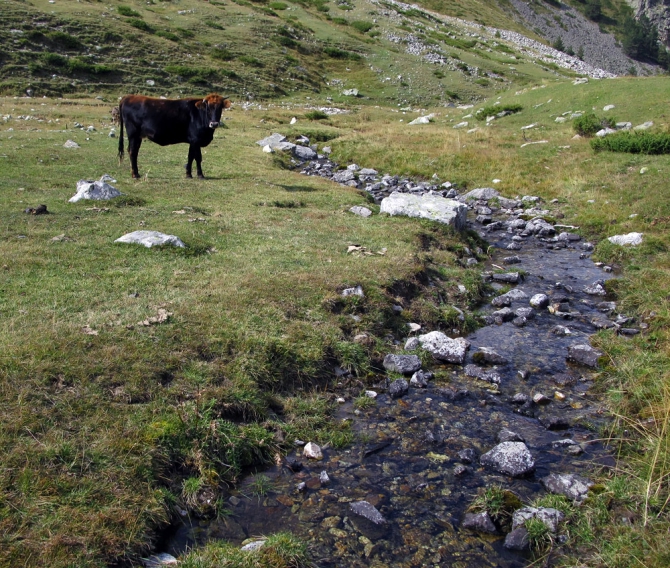 Кавказ осенний. Фотоальбом (Горный туризм, чунгурджар, учкуланичи, терксол, тырмен, узункол, гвандра, мырды, осень, шхельда, приэльбрусье, горы, джалпаккол)