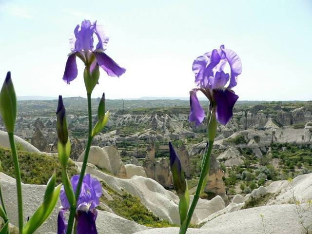 Треккинг в Каппадокии (горная Турция, Горный туризм, горный туризм)