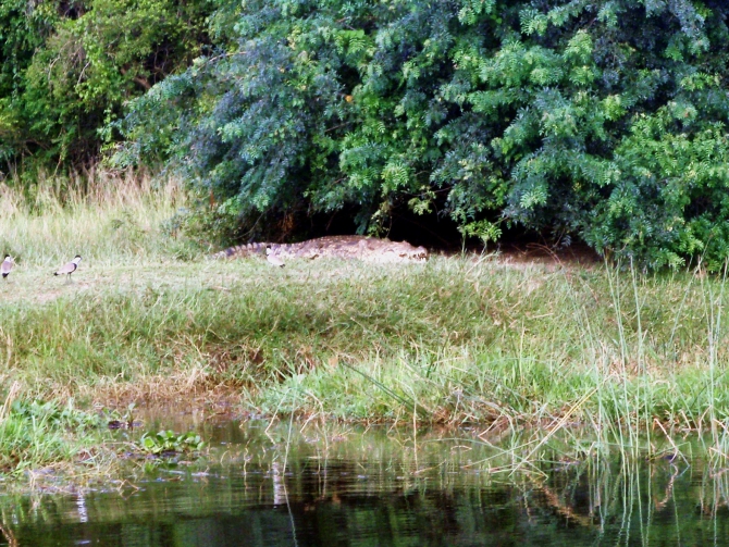 Ох, не слабо, братцы... (Путешествия, нил, джинджа.третий полюс, уганда, рафтинг, адрифт)