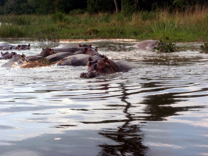 Ох, не слабо, братцы... (Путешествия, нил, джинджа.третий полюс, уганда, рафтинг, адрифт)