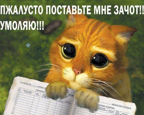 ЗА ДВЕРЬ! (outdoor, учеба, диплом)