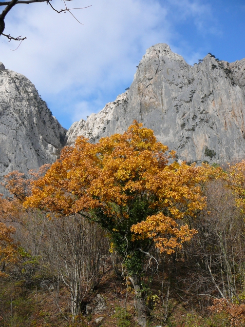 Осенний урожай крымского Фриклайма (Альпинизм, рапт, grivel, шаан кая, свободное лазание, форос, правый грищенко, freeclimbing, днепропетровский, дупа зализова, челеби, центр, rapt, свобода, scarpa, sivera)