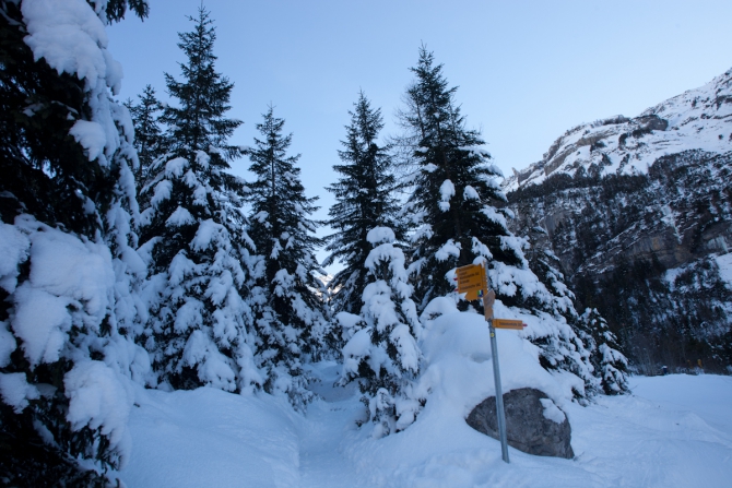 Kandersteg Ice Festival 2011 (Ледолазание/drytoolling, the north face)