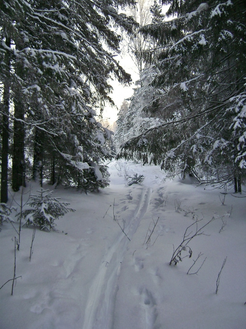 Как оптимально подобрать экипировку для зимы (Альпинизм, стрейч, шерсть, полартек, виндстопер, софтшелл, зимняя экипировка, термобелье)