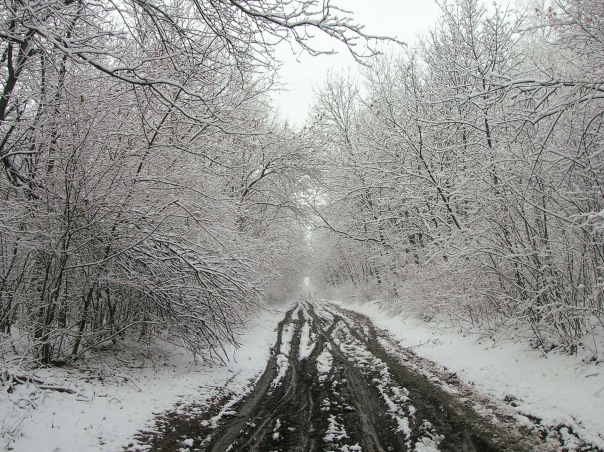 Мультигонка "Подснежник 2011" (Мультигонки, мультиспорт, ростовская область)