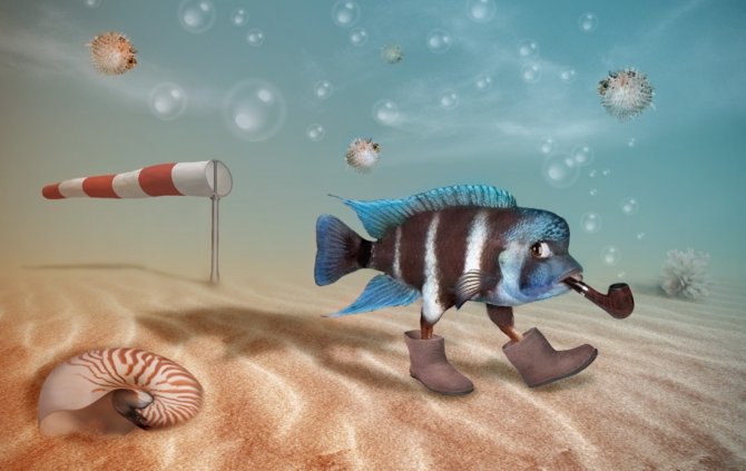 Riskовые фантазии (журналистика, риск)