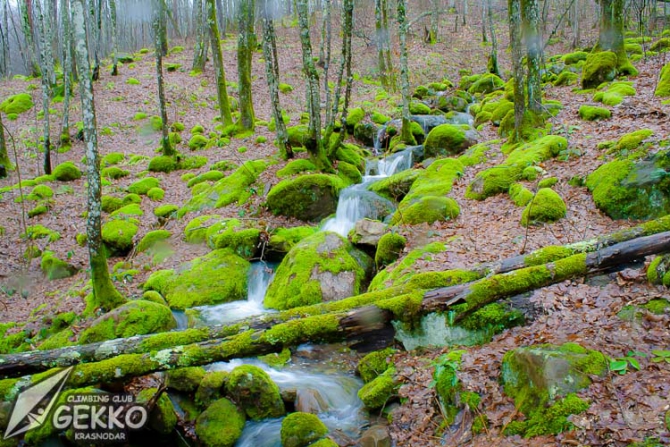 Дождь и блоки (Скалолазание, боулдеринг, кравченко, gekko)