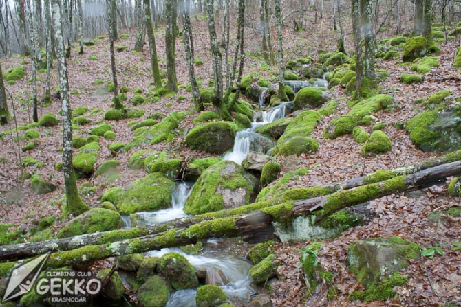 Дождь и блоки (Скалолазание, боулдеринг, кравченко, gekko)