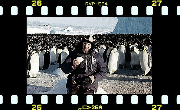 История одной фотографии. (Путешествия, информационные исследования, баня, антарктида, будни)
