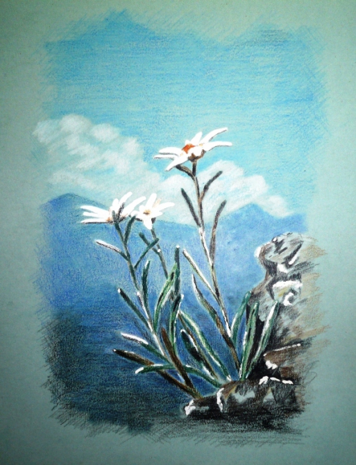 ГОРЕЦ (Альпинизм, рисунок, пастель)
