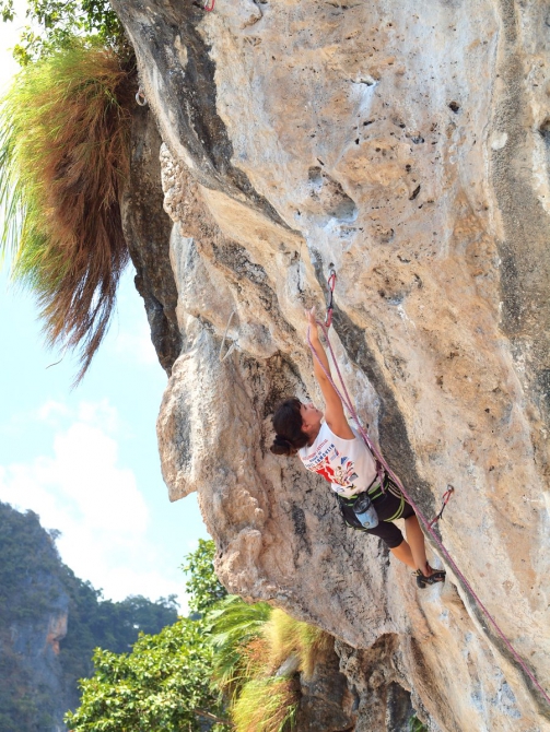 У нас получилось! Фестиваль Павла Самойлина состоялся! Итоги. (Альпинизм, rock for everybody, фестиваль скалолазания, павел самойлин, тон сай, тайланд)